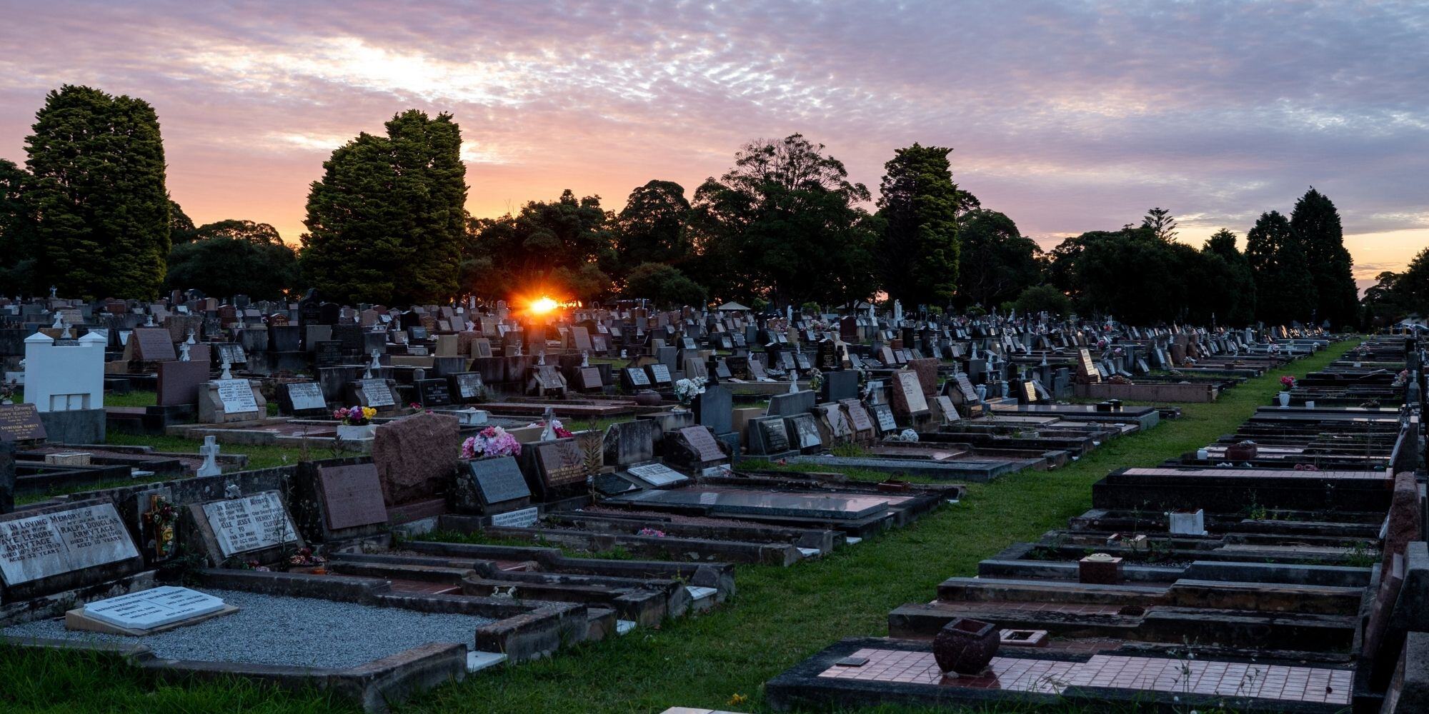 A Sydney cemetery at sunset, rows of headstones beneath the gum trees