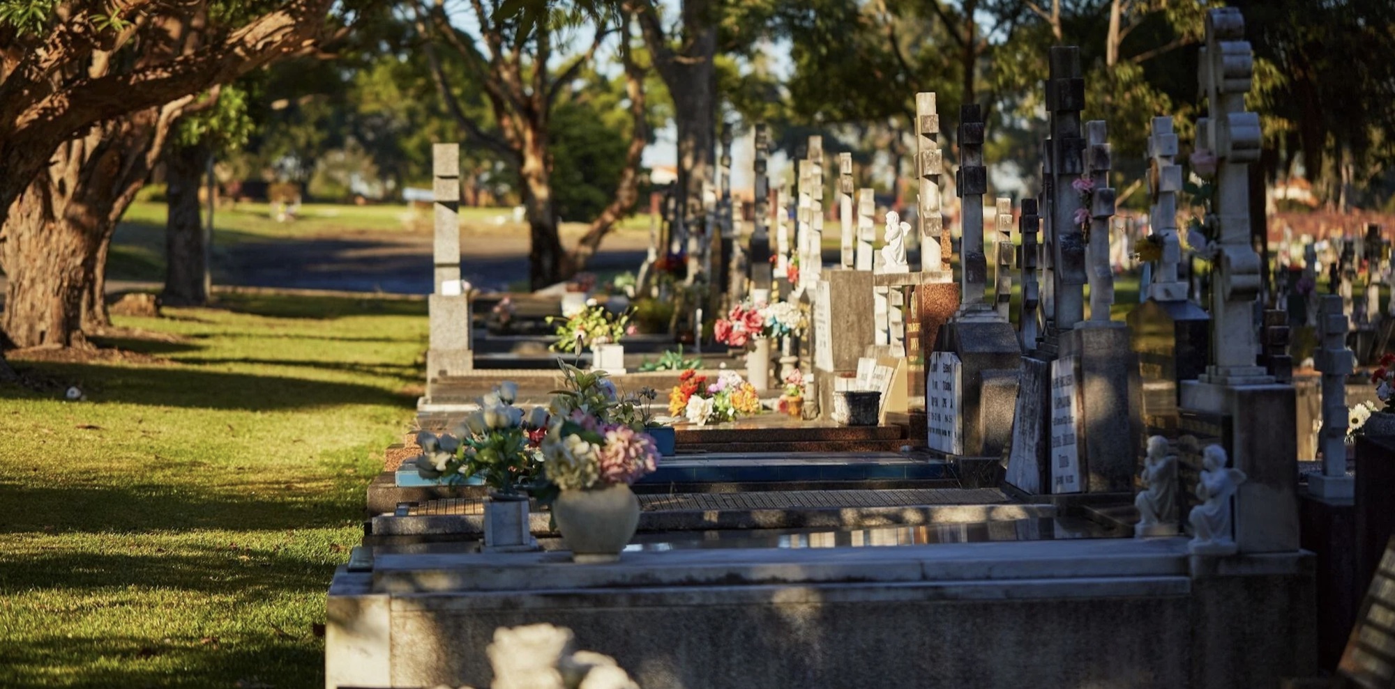 A Sydney cemetery at golden hour, monuments and flowers among the gum trees