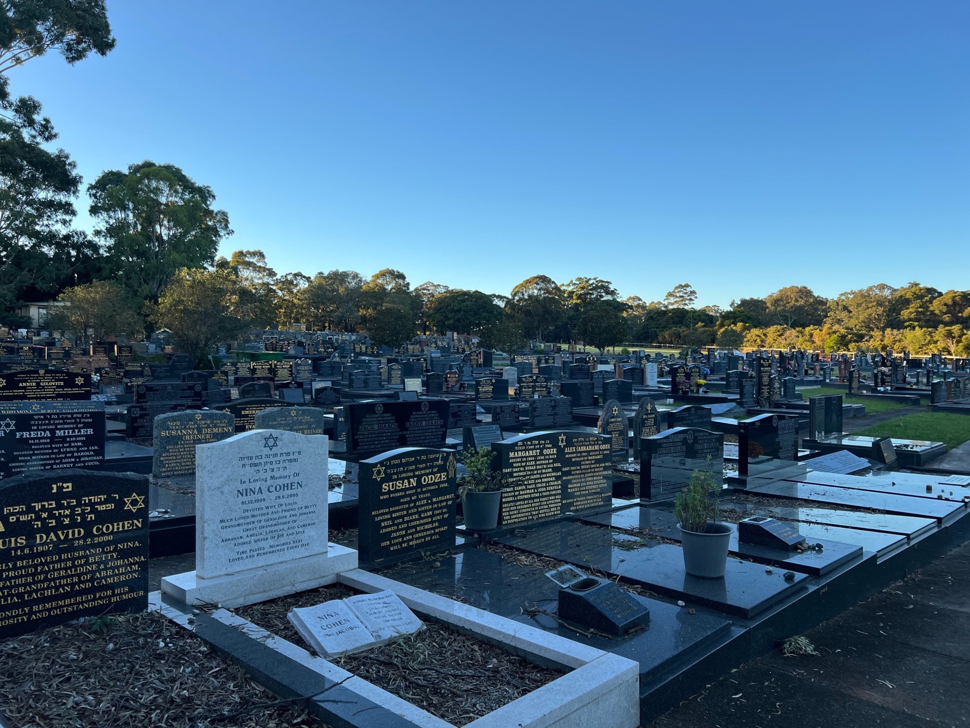Jewish section of a Sydney cemetery